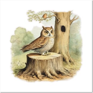 owl on a tree stump Posters and Art